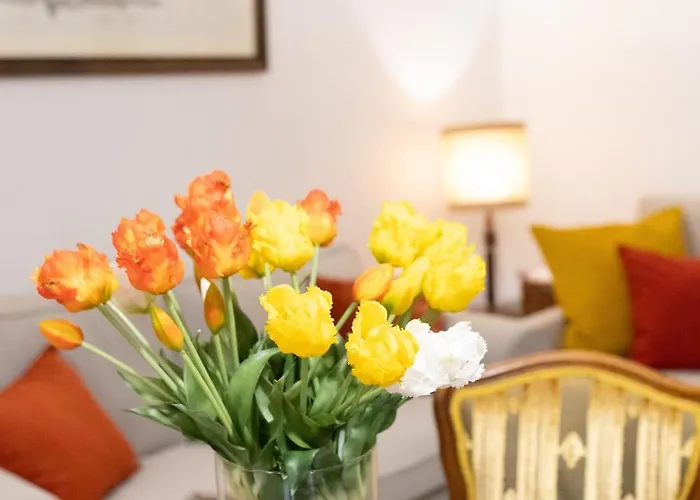 Ca' Spadoni, Centro Storico, Piano Terra, Ingresso Indipendente, Teatro, Parcheggio, * Imola