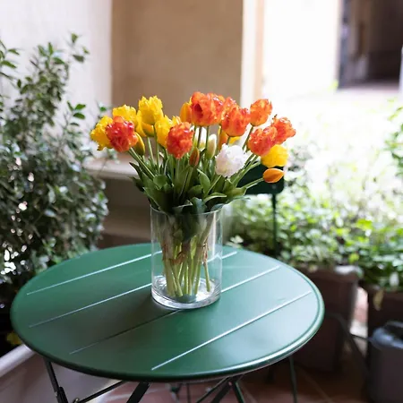 아파트 Ca' Spadoni, Centro Storico, Piano Terra, Ingresso Indipendente, Teatro, Parcheggio,